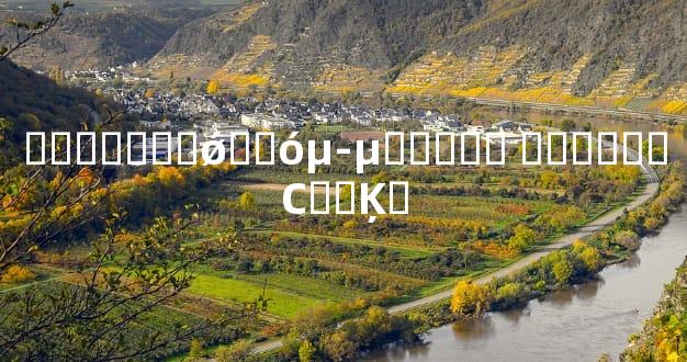 ������ǰǿ��󵭵����� ��ǰ���С˵�Ķ�